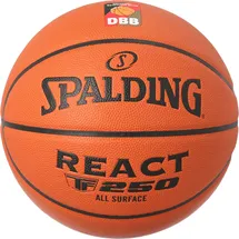 Spalding DBB React TF-250 Composite Indoor/Outdoor 6