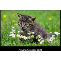 Vero Kalender Haustierkalender 2026 Fotokalender DIN A3 von Tobias