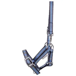 Kavalkade Halfter Fohlen & Jährling (Fohlen) - Hellblau-Marine-Weiß - Fohlen