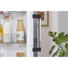 Gorenje R619DAXL6 Kühlschrank (398 l, 1850 mm hoch, Grau)