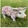 of Gartenfigur süßes Stehendes Schwein 34 x 14 x 18 cm Weiß