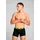 Puma Everyday Boxershorts 3 Einheiten Black Pop M