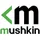 Mushkin Element NVMe SSD 1TB, M.2 2280 / M-Key / PCIe 3.0 x4 (MKNSSDEV1TB-D8)