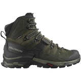 Salomon Quest 4 GTX Herren Wanderschuhe 42