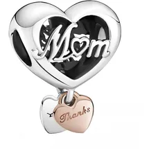 Pandora Charm Moments 789372C00