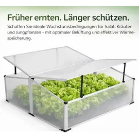 Mojawo Frühbeet Alu Transparent HKP 4 mm 1,2 m2