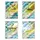 Pokémon Gem Pack Vol. 2 Booster Box
