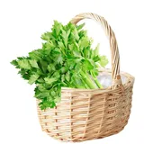 Raypontia Geflochtene Blumenhandkörbe, 10x20x17cm Blumenkorb Hochzeit, Tragbarer Blumenkorb, Robuster Geflochtener Weidenkorb Mit Griff, Körbchen Blumenkinder, Henkelkorb Aufbewahrungskorb