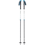 Black Diamond Expedition 2 Pro Skistöcke (Größe 155CM, weiss)