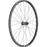 DT Swiss Vorderrad 29")