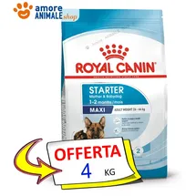 Royal Canin Maxi Starter 4 kg