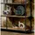Actona Bücherregal 114 x 35 x 185 cm Schwarz