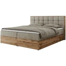 MKS Albero 1 200 x 200 cm H3 Beige