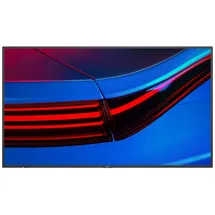 NEC MultiSync P495 49"
