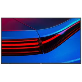 NEC MultiSync P495 49"