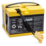 Peg Perego Batterie 24V 8Ah