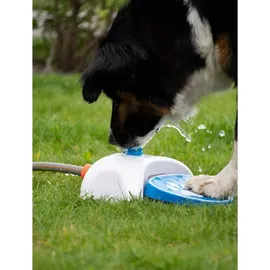 Coolpets Hundewasserbrunnen mit Pedal