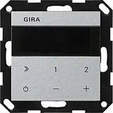 Gira 232026 IP System 55