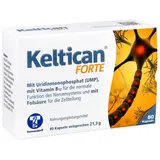 Keltican forte Kapseln