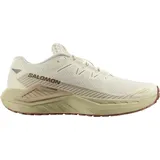 Salomon Drx Defy Grvl Herren Vanilla Ice/Green Haze/White Pepper 44