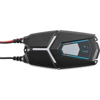 Ective Multiload 24s 24A 12/24V 9-Stufen Batterieladegerät mit Netzteilfunktion