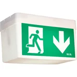 B.E.G BEG LED-Rettungszeichenleuchte BD21/6/3DALI-LED