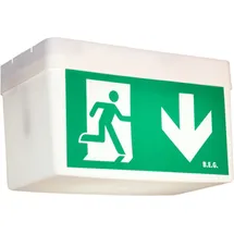 B.E.G BEG LED-Rettungszeichenleuchte BD21/6/3DALI-LED