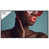 Sony Bravia FW-75BZ40L 75" schwarz
