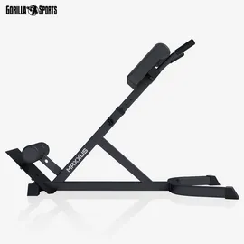 Maxxus Hyperextension Rückentrainer Schwarz