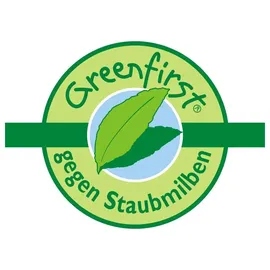 fan Medisan Nackenstützkissen Greenfirst 40 x 80 cm grün