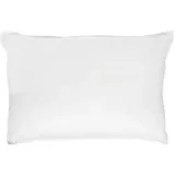 Traumschlaf Uni Single Jersey Kissenbezug Eschle 2-er Pack