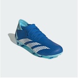 adidas Unisex Predator Accuracy.3 Fg Football Shoes (Firm Ground), Bright Royal/FTWR White/Bliss Blue, 42 2/3 EU - 42 2/3 EU