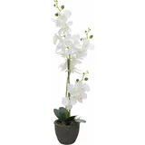 Europalms Orchidee, Kunstpflanze, weiß, 80cm