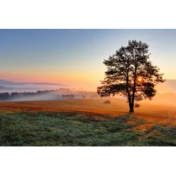 Fototapete PAPERMOON "baum in landschaft", bunt, B:3,50m L:2,60m, Vlies, Tapeten