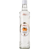 Prinz Marillen Schnaps 40% 0,5l