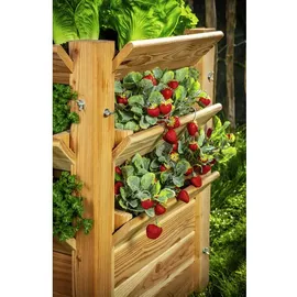 Westmann Hochbeet Premium L 65 x 65 x 73 cm Natur