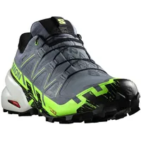 Salomon Speedcross 6 Gore-Tex Herren Flint Stone / Green Gecko / Black 43 1/3