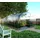 klasika greenhouses Klasika Tube verzinkt Transparent HKP 4 mm 18 m2