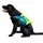 Jobe Hunde-schwimmweste Lime/Teal XS