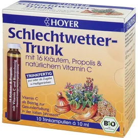 Hoyer Schlechtwetter-Trunk Trinkampullen bio 10 St.
