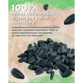 futterbauer Sonnenblumenkerne schwarz Meisen 10 kg