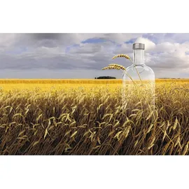 Absolut Vodka 40% vol 1 l