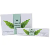 Saraswati Räucherstäbchen Green Tree "Angel of Cleansing" 15 gr.