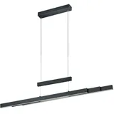 Trio LED-Pendelleuchte Trajan Alu, Eisen, Stahl & Metall Schwarz