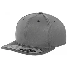 Flexfit 110 Fitted Snapback Cap grau One Size