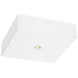 Fischer LED-Sicherheitsleuchte BQDE29I.V2