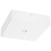 Fischer LED-Sicherheitsleuchte BQDE29I.V2