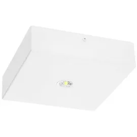 Fischer LED-Sicherheitsleuchte BQDE29I.V2