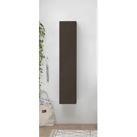 Home Affaire Infinity Mehrzweckschrank 29 x 138 x 30 cm Lava