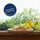 Lyra Pet 2 x 1 kg Lyra Pet® Mehlwürmer getrocknet